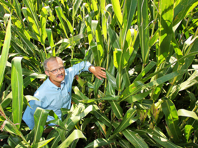 Purdue agronomist Tony Vyn says modern hybrids capture more applied nitrogen, requiring lower rates for top yields. (Progressive Farmer photo by Tom Campbell)